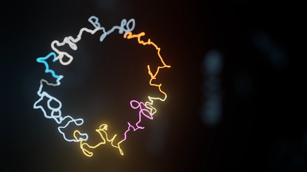 plasmid