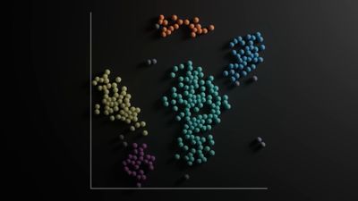 Animation of a UMAP plot showing cell clusters
