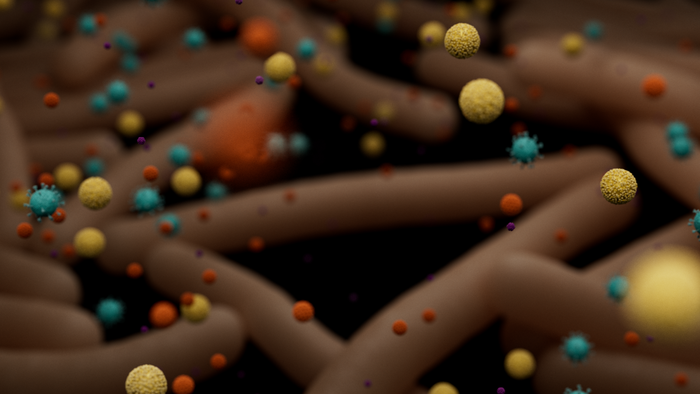Whole-genome sequencing in PulseNet foodborne molecular surveillance systems