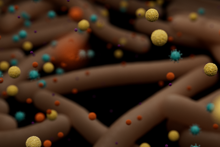Whole-genome sequencing in PulseNet foodborne molecular surveillance systems
