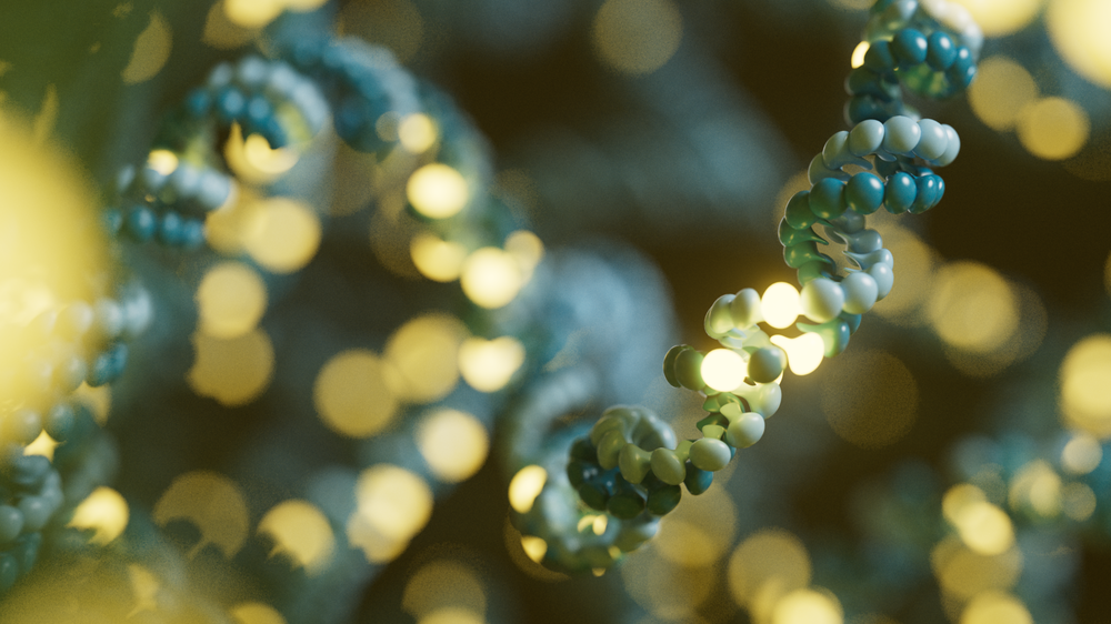 Animation of a long fragment of long-stranded DNA