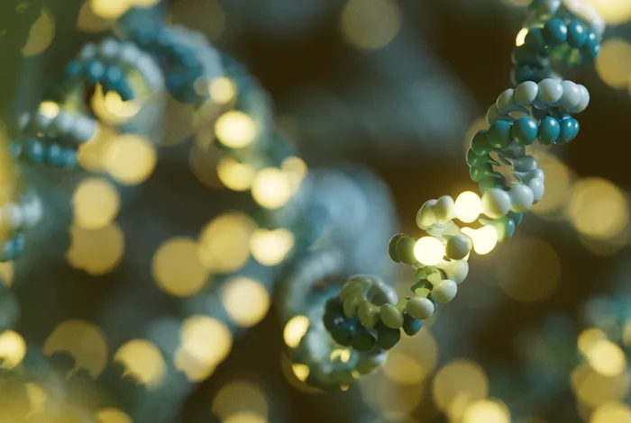 Case study: expanding reference genomes with T2T assembly to reflect global diversity