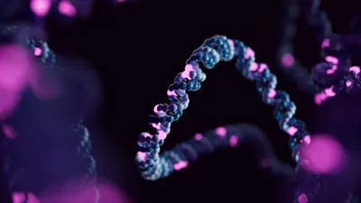 Sissel Juul & Sean McKenzie