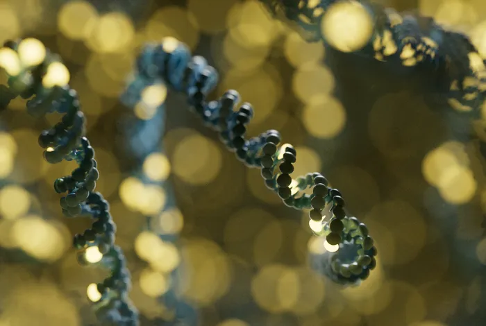 Pioneering European collaboration to advance genetic diagnostics: introducing the European Long Read Innovation Network (ELRIN)