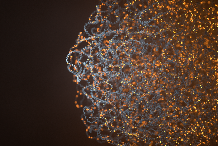 Masterclass: How to call variants and methylation across the human genome | LC25