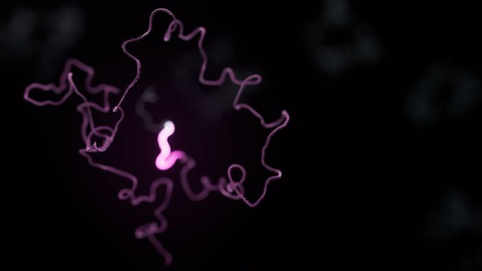Oxford Nanopore expands compatibility with 10x Genomics to unlock deeper insights in single-cell transcriptomic