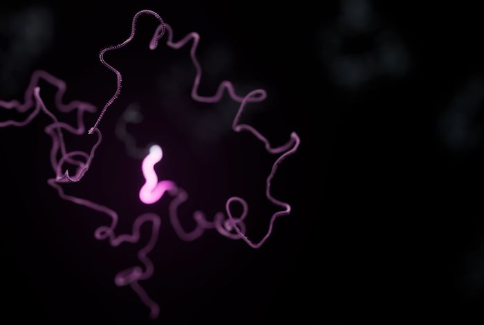 Oxford Nanopore expands compatibility with 10x Genomics to unlock deeper insights in single-cell transcriptomic