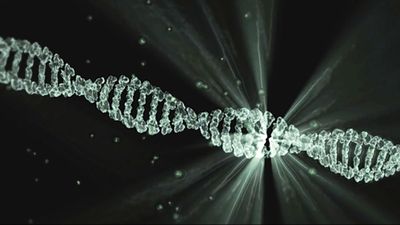 DNA