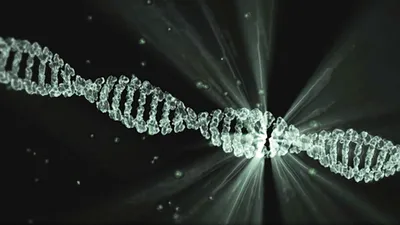 DNA