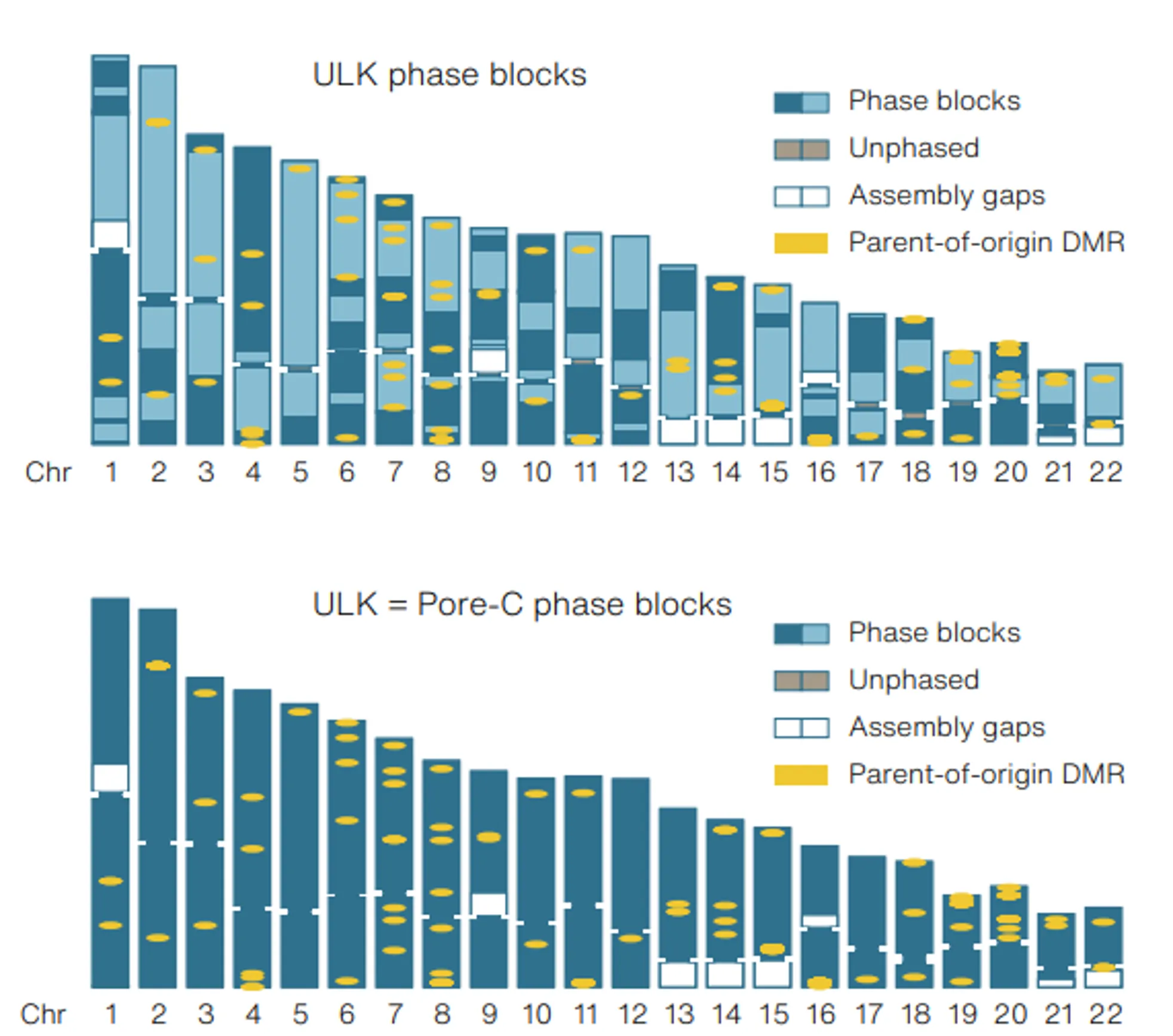 Pore-C enables phasing analysis