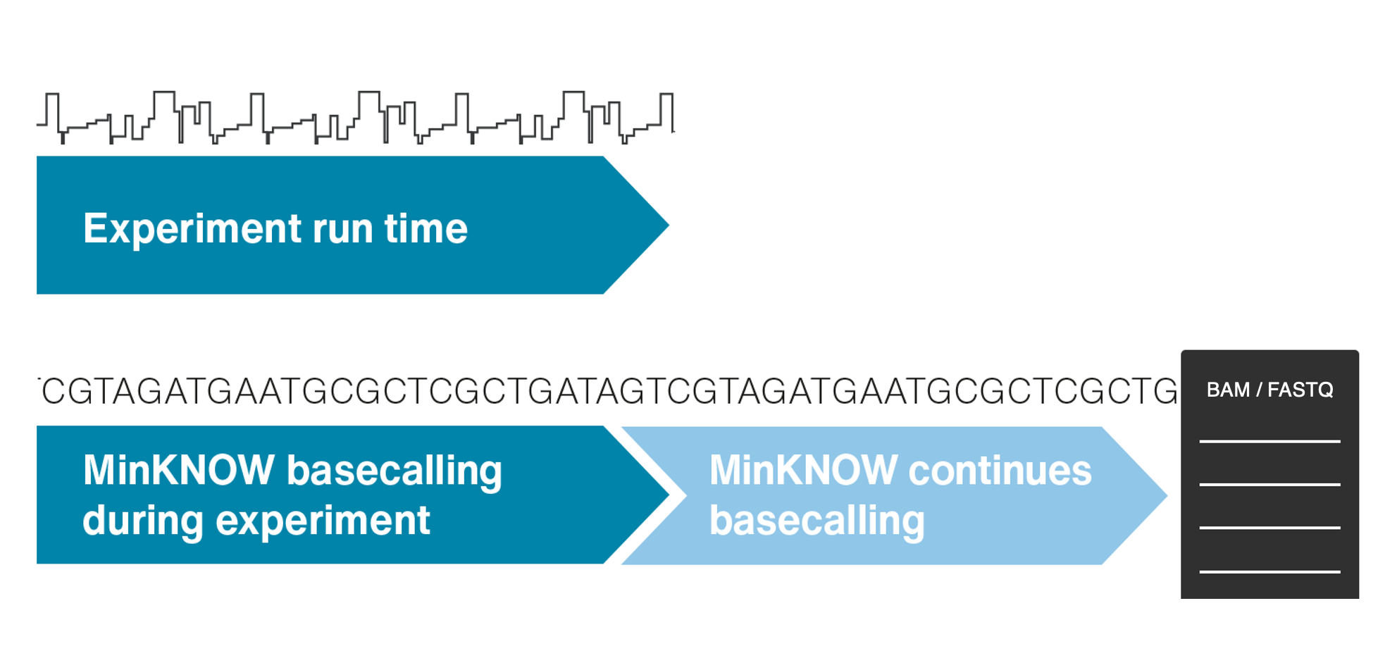 basecalling nanopore data