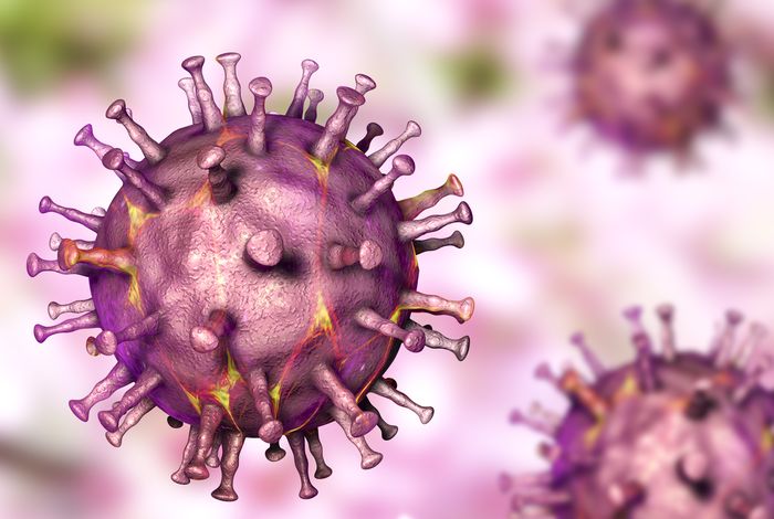 Short and long-read sequencing survey of the dynamic transcriptomes of African swine fever virus and its host