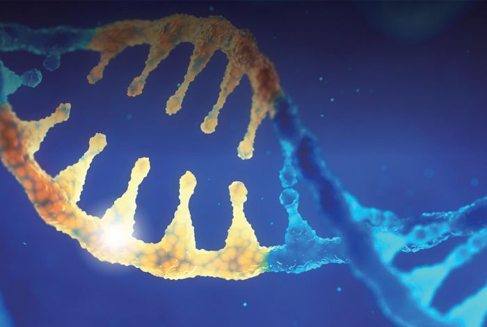 Reduced-Representation Methylation Sequencing (RRMS) captures 100% of CpG islands and more