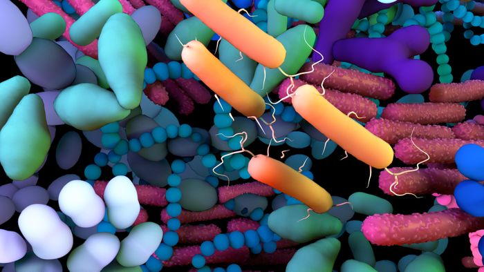 Species-level, metagenomic and proteomic analysis of microbe-immune interactions in severe asthma