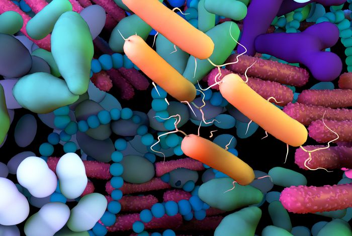 Species-level, metagenomic and proteomic analysis of microbe-immune interactions in severe asthma