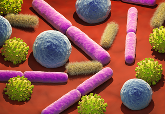 Generating microbial insights from nanopore metagenomic data using an open-source, cloud-based metagenomics tool for researchers