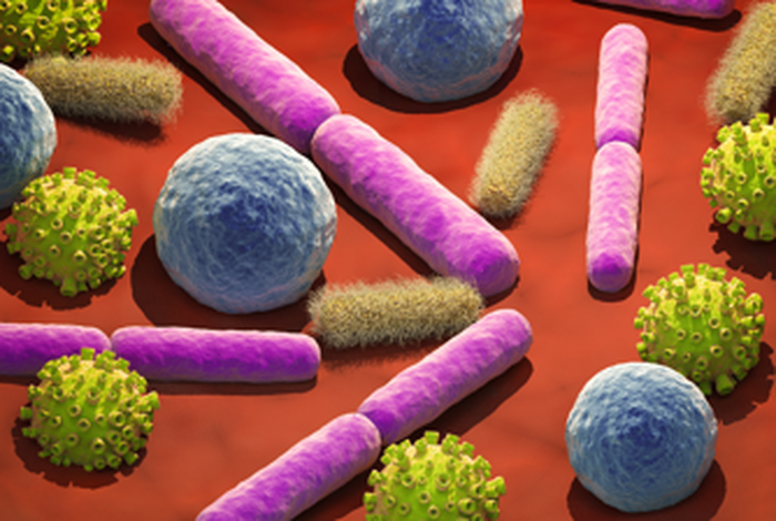 Generating microbial insights from nanopore metagenomic data using an open-source, cloud-based metagenomics tool for researchers