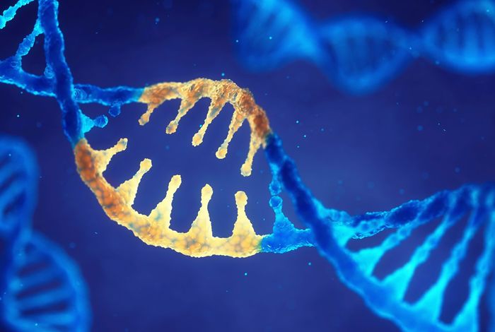 NCM 2021: AmplideX PCR and nanopore sequencing deepens analysis and simplifies workflows for carrier screening