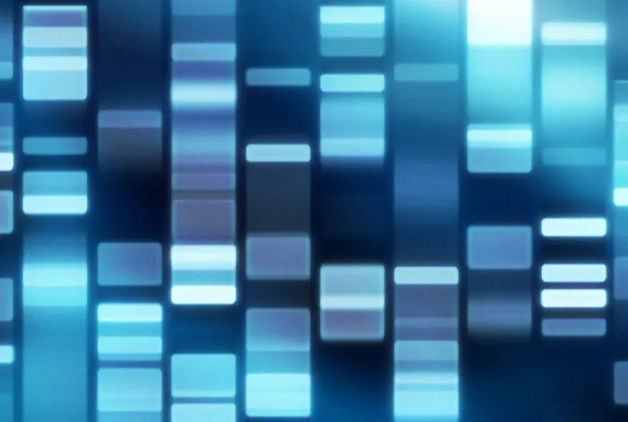 Species level resolution of 16S rRNA gene amplicons sequenced through the MinION™ portable nanopore sequencer