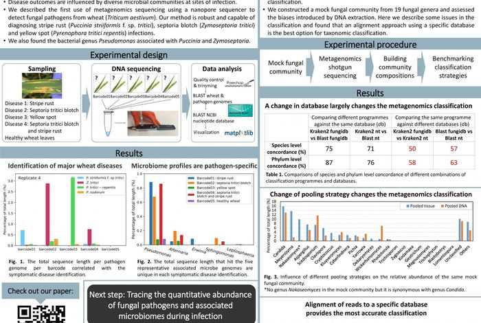 Pathogen detection and beyond: understanding of microbial communities in the real world