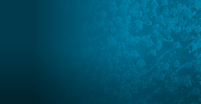 Bermuda Principles (BP) 2026