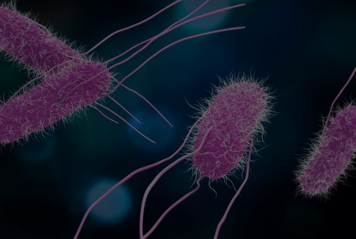 Single laboratory evaluation of the Q20+ nanopore sequencing kit for bacterial outbreak investigations
