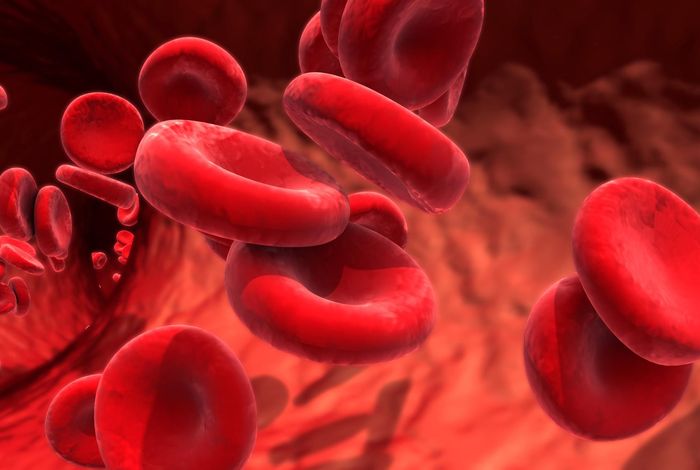 Utilising nanopore direct RNA sequencing of blood from patients with sepsis for discovery of co- and post-transcriptional disease biomarkers