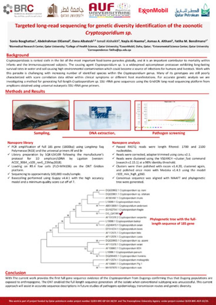 Targeted long-read sequencing for genetic diversity identification of the zoonotic *Cryptosporidium sp.*