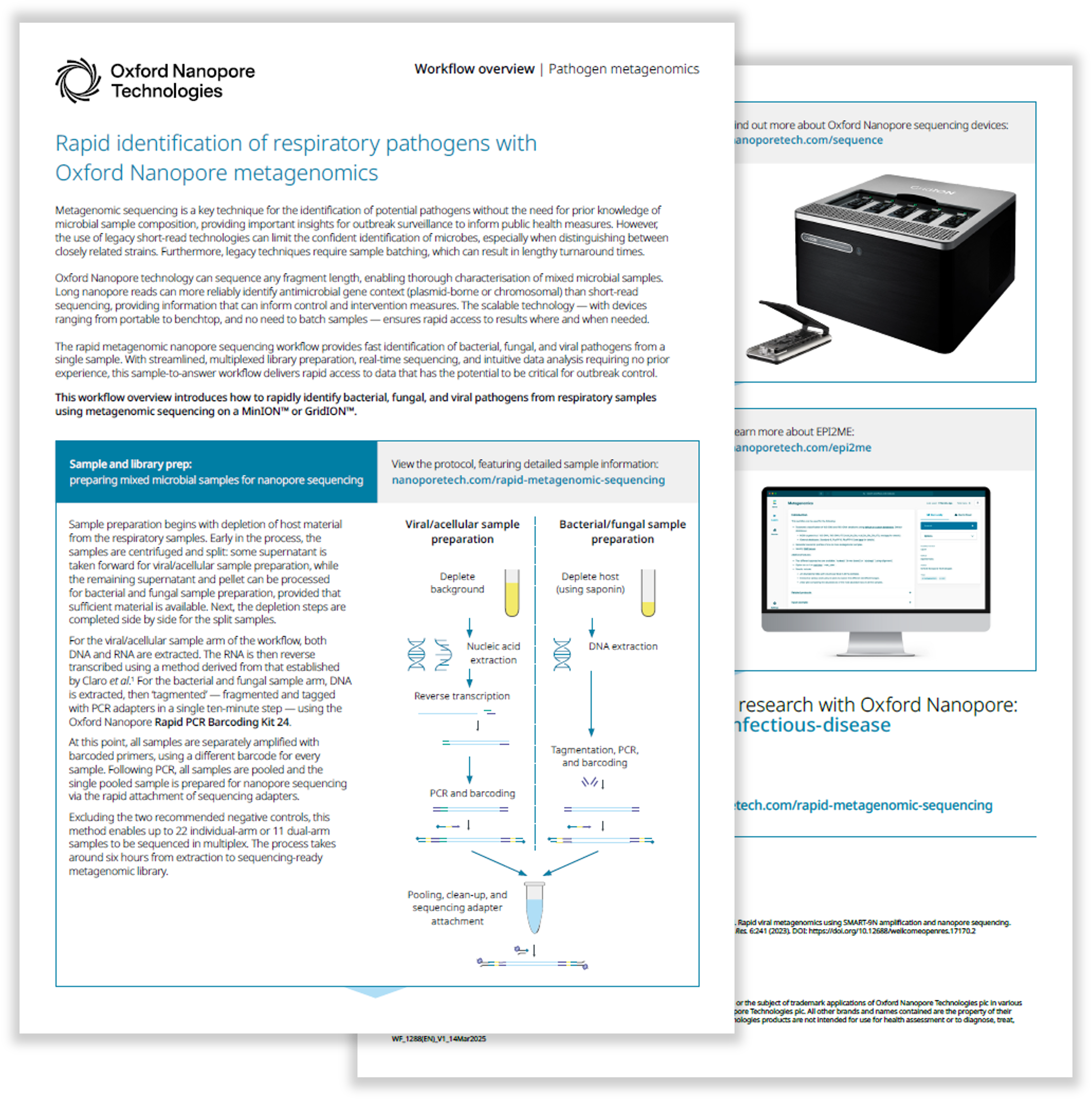 Image preview of the pathogen metagenomics workflow overview.