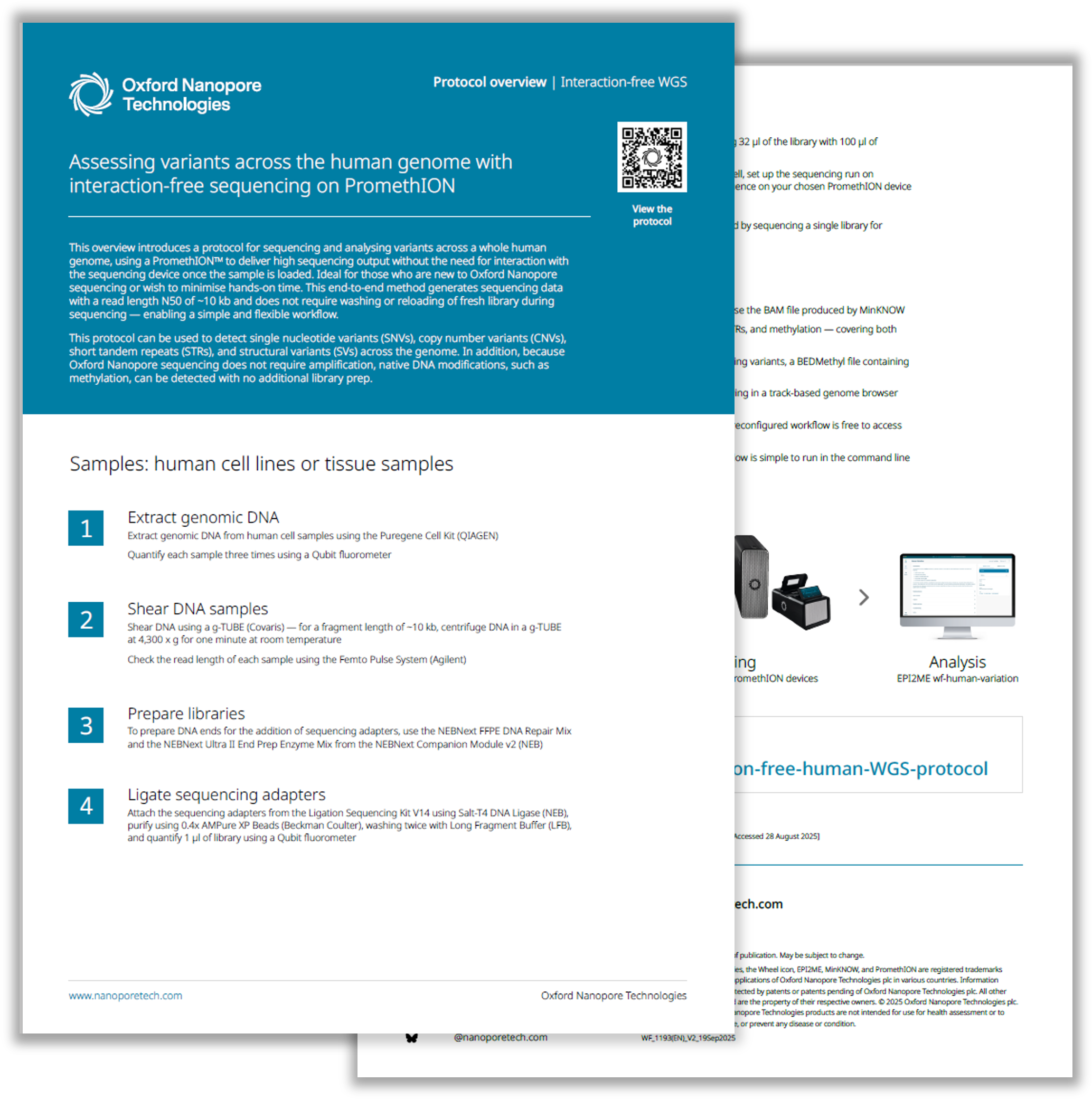 Protocol overview: interaction-free whole-genome sequencing — 2 pages