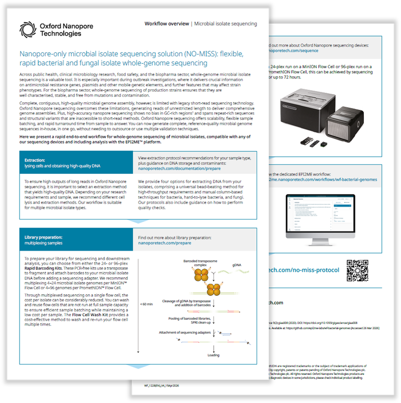 Preview of the NO-MISS workflow overview