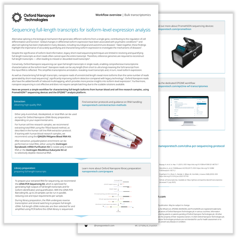 Two-page image of the workflow