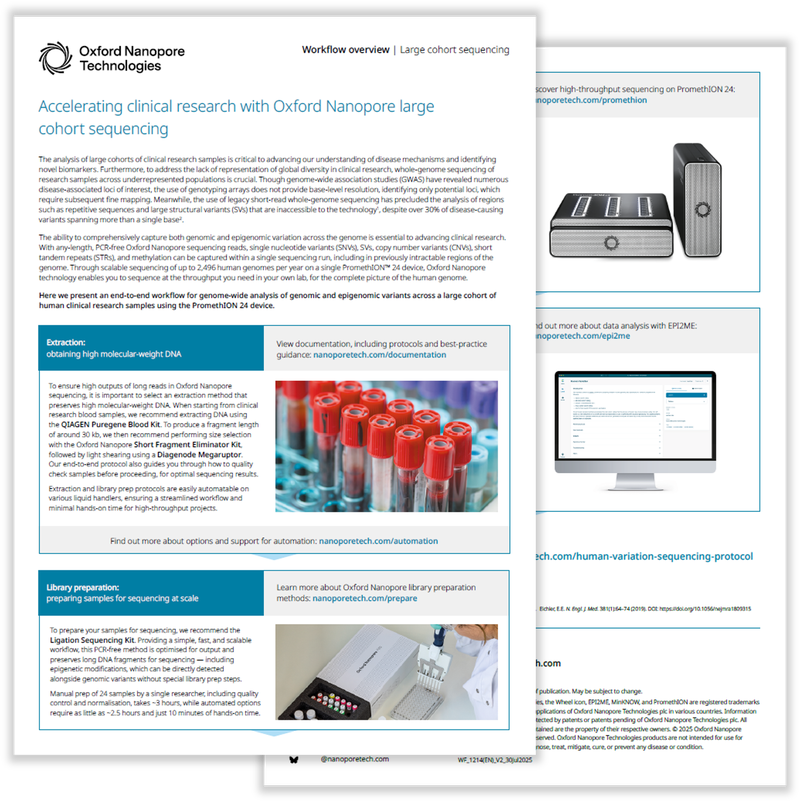 Image preview of the large cohorts workflow overview