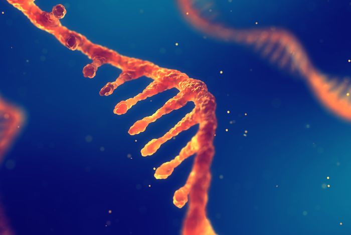 RNA part I: RNA seq with Oxford Nanopore Technologies: direct RNA