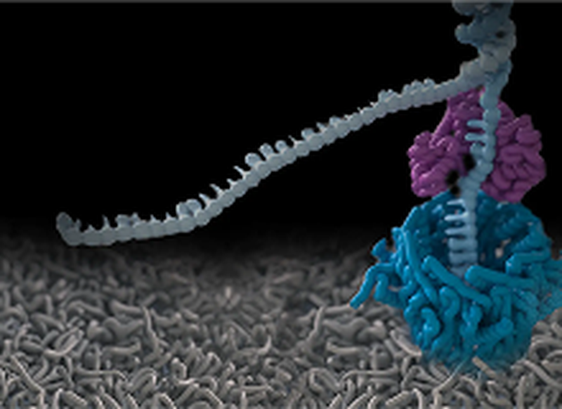 A strand of DNA passing through a nanopore.