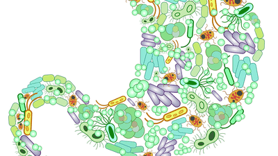 Rapid resistome mapping using nanopore sequencing