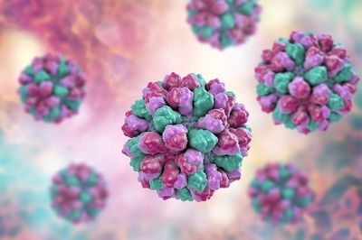 Identifying intra-hospital Norovirus GII transmission using whole-genome sequencing