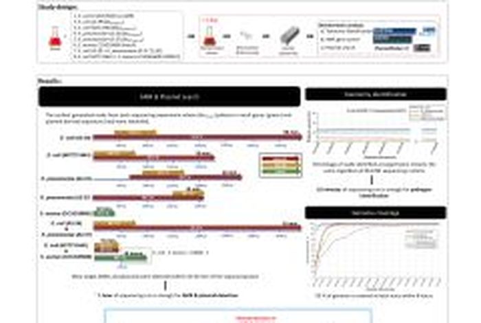 Rapid identification of pathogens, antibiotic resistance genes and plasmids in blood cultures by nanopore sequencing