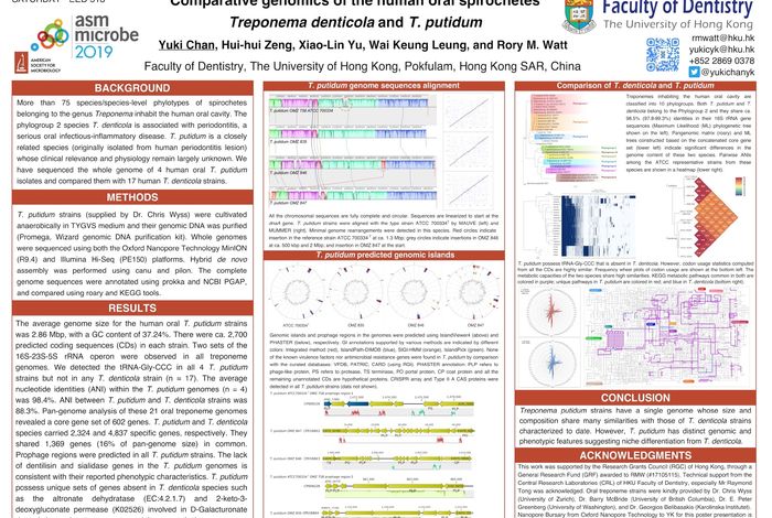 Comparative genomics of the human oral spirochetes Treponema denticola and T. putidum