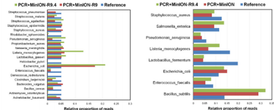 Multi-locus and long amplicon sequencing approach to study microbial diversity at species level using the MinION™ portable nanopore sequencer 