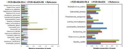 Multi-locus and long amplicon sequencing approach to study microbial diversity at species level using the MinION™ portable nanopore sequencer 