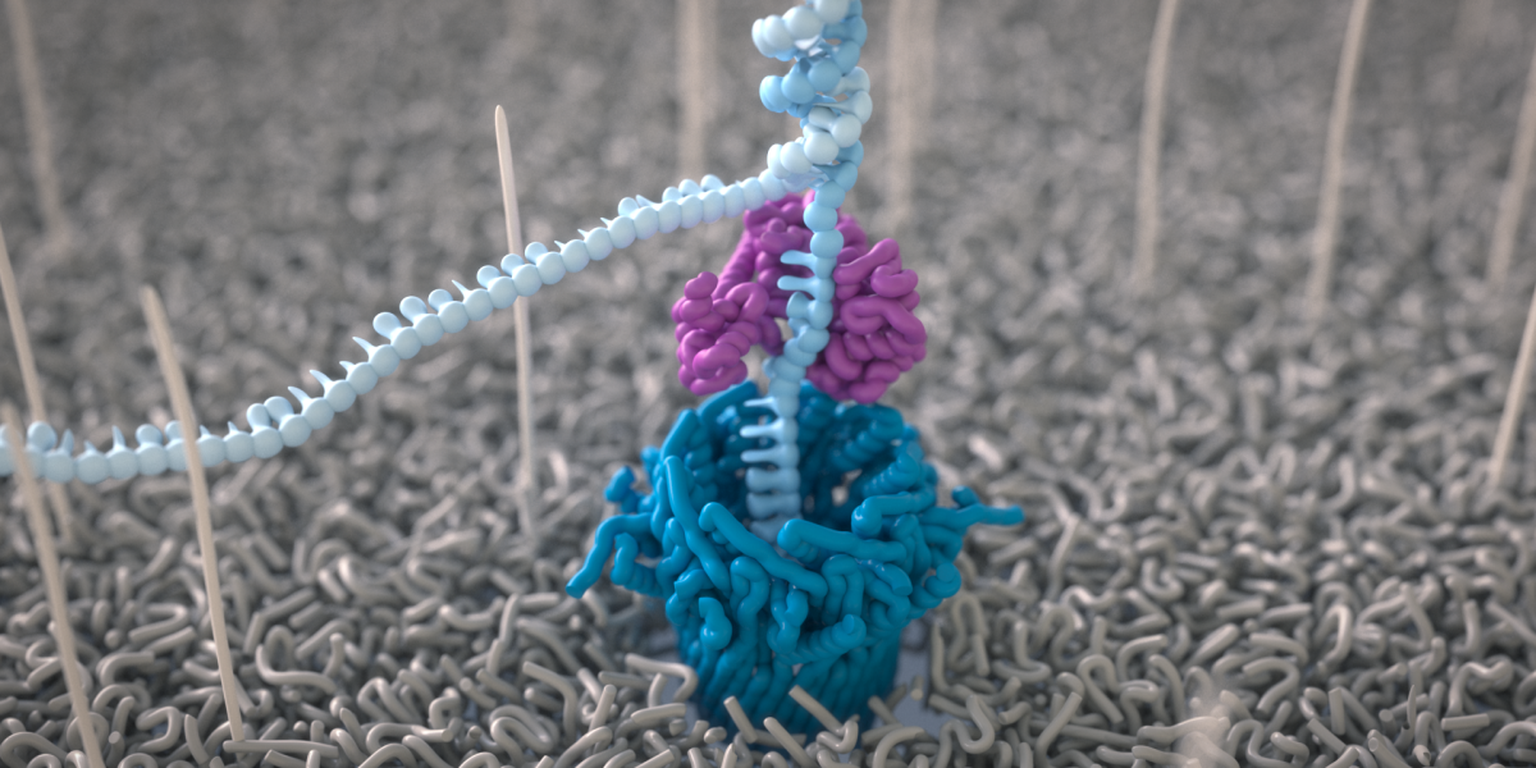 Science unlocked: publication picks from November 2024