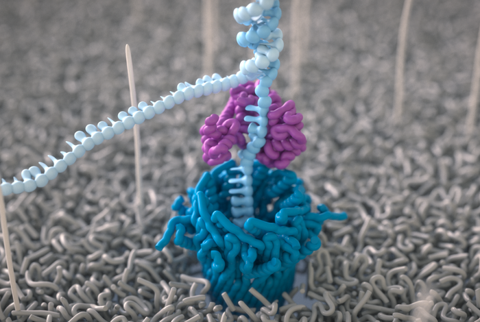 NCM 2022: Welcome back to Nanopore Community Meeting 2022