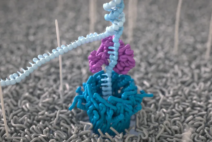 Science unlocked: publication picks from November 2024