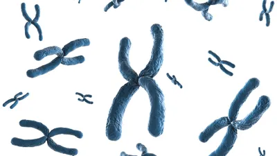 Mapping and phasing of structural variation in patient genomes using nanopore sequencing