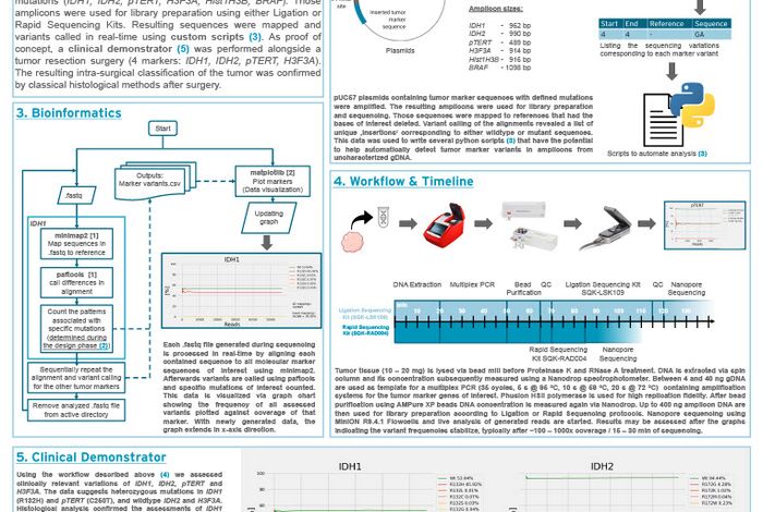 Rapid intra-surgical real-time glioma characterisation using a defined marker panel
