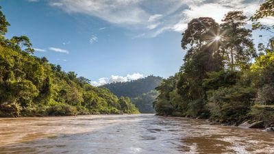 Photograph of a river in the Peruvian Amazon