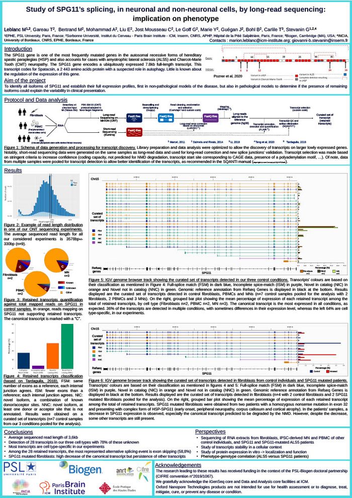 Study of SPG11’s splicing, in neuronal and non-neuronal cells, by long-read sequencing: implication on phenotype