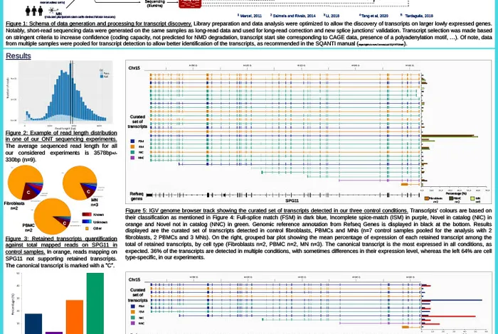Study of SPG11’s splicing, in neuronal and non-neuronal cells, by long-read sequencing: implication on phenotype