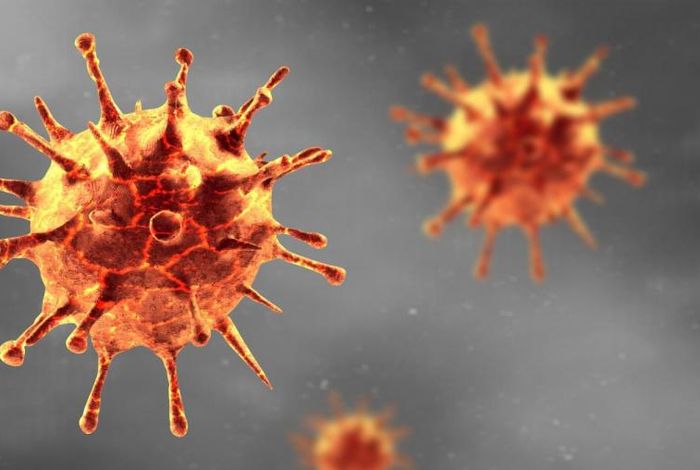 The wastewater microbiome: A novel insight for COVID-19 surveillance